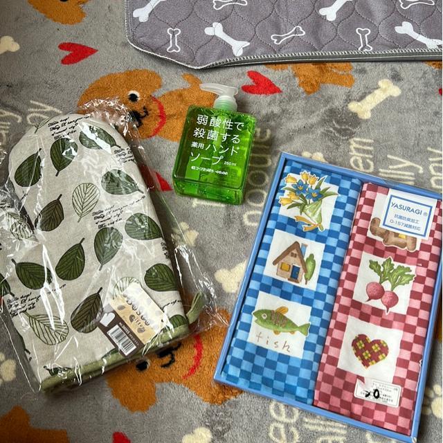 iVijG݁i3_Zbgj   CeA/Ct 