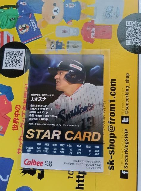 プロ野球チップスカード < トレーディングカード  プロ野球チップスカード < トレーディングカードの