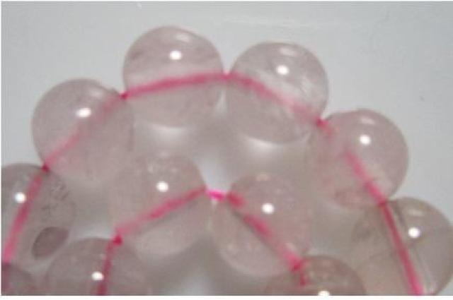 �V�R�΁����[�Y�N�H�[�c�U���������A �� �y�b�g/��|/���|�� 