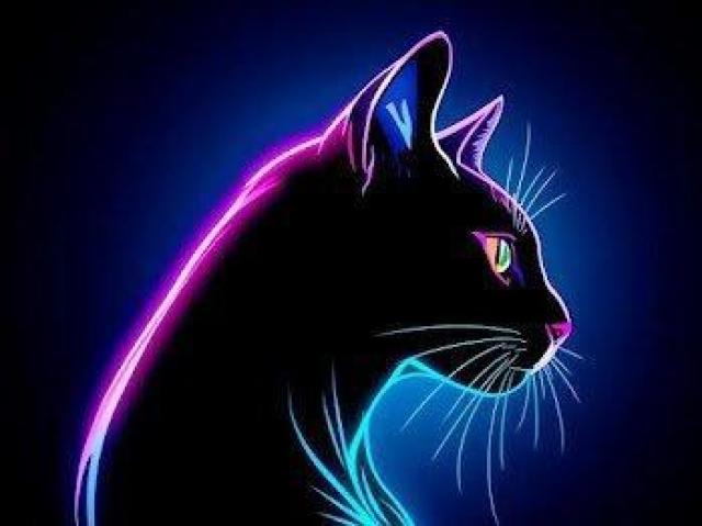 ハイクオリティー Tシャツネオンカラー ネコ < 男性ファッション ハイクオリティー Tシャツネオンカラー ネコ < 男性ファッションの