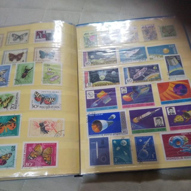 �X�^���v�A���o�� �� �z�r�[�� 