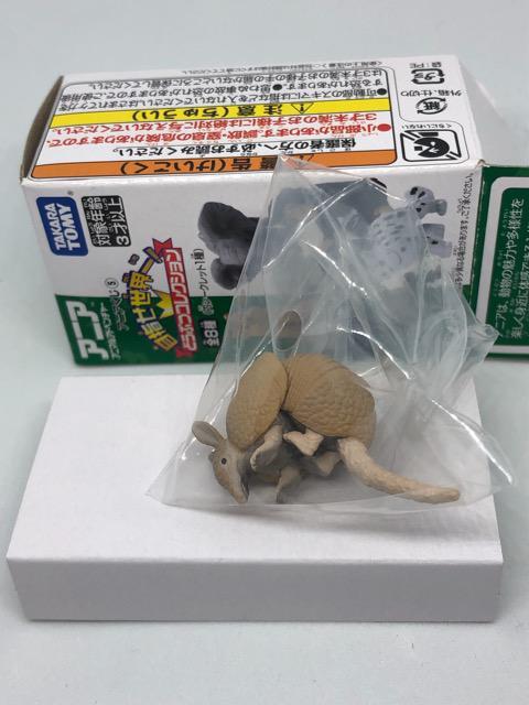 アルマジロ アニアくじ5 目指せ世界一! どうぶつコレクション シークレット < ホビー  アルマジロ アニアくじ5 目指せ世界一! どうぶつコレクション シークレット  < ホビーの