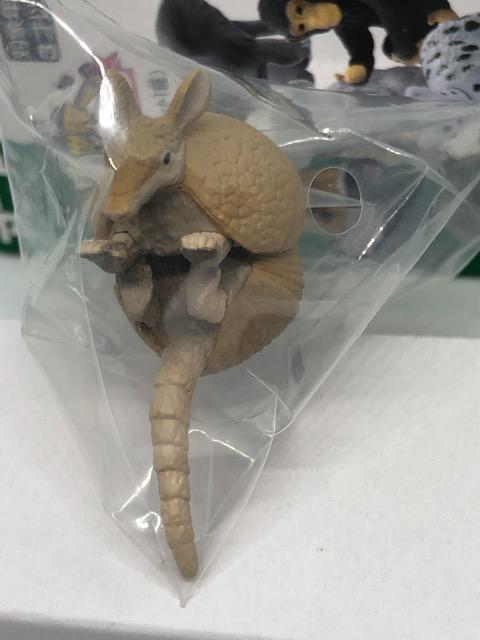 アルマジロ アニアくじ5 目指せ世界一! どうぶつコレクション シークレット < ホビー  アルマジロ アニアくじ5 目指せ世界一! どうぶつコレクション シークレット < ホビーの