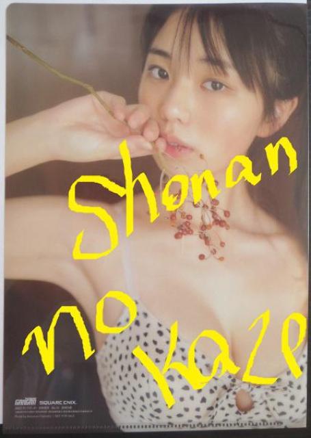 AChuerPށv̖gpʃNAt@CCł  ^gObY 