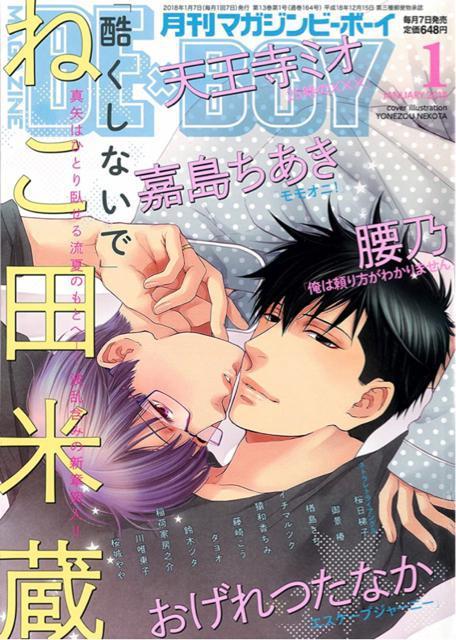 MAGAZINE BE~BOY 2018N01   Aj/R~bN/LN^[ 