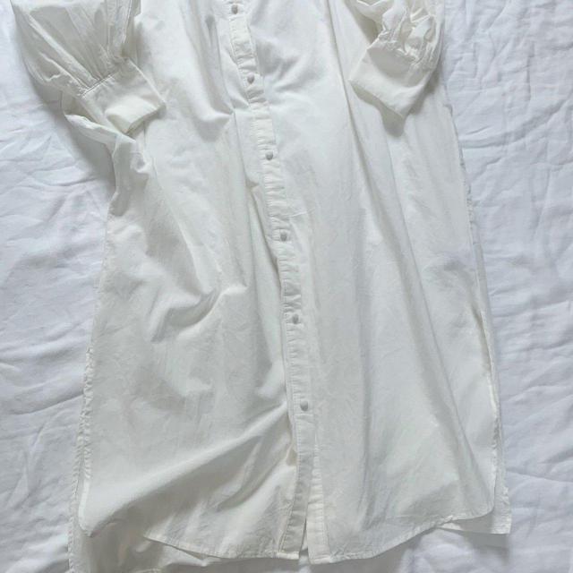 Ray Cassin���n�V�S���[�X���������ȃV���c�����s�[�X