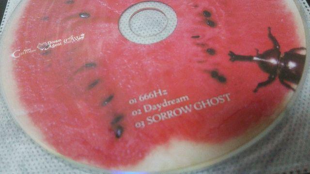 送料半額♪Neverland本に付ぃてた限定DVD♪ヽ(´▽`)/♪ < CD/DVD/ビデオ  送料半額♪Neverland本に付ぃてた限定DVD♪ヽ(´▽`)/♪ < CD/DVD/ビデオの