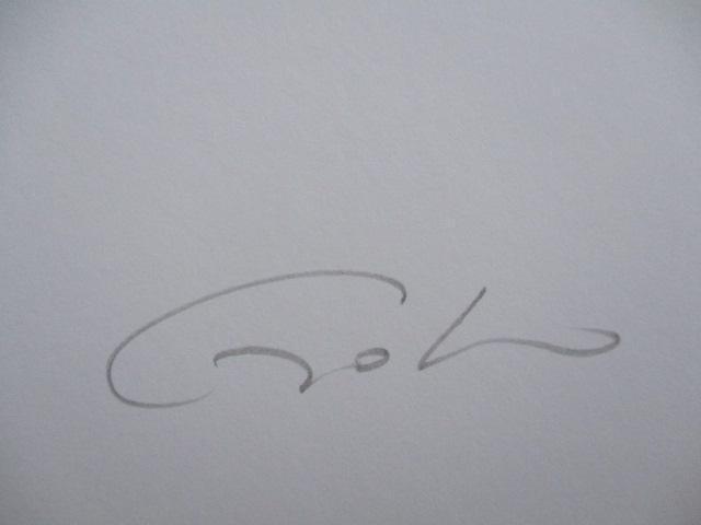 zioiIΐYuȈv̌ŉAGfBVAMTC  zr[ 