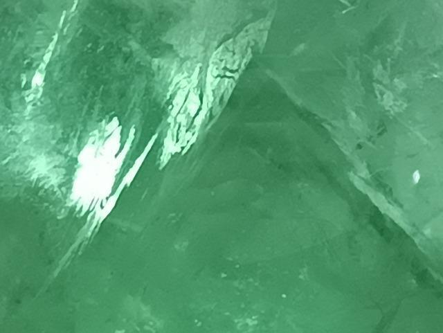 �V�N�u�����܁v���@��_����B�S����3�_  �� �����A�N�Z�T���[/���v�� 