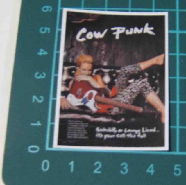 COWPUNK GIRL�@�J�E�p���N�@���@�X�e�b�J�[  �� �z�r�[�� 