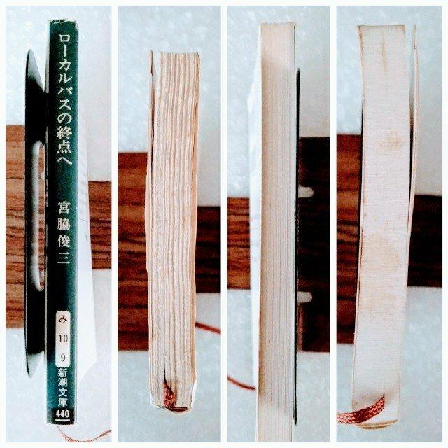 �y���Łz���Ɂu���|�J���o�X�̏I�_��/�{�e�r�O�v �� �{/�G���� 