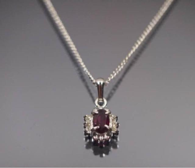 {@VR΁@K[lbg lbNX iǗԍN-P51   ANZT[/v 