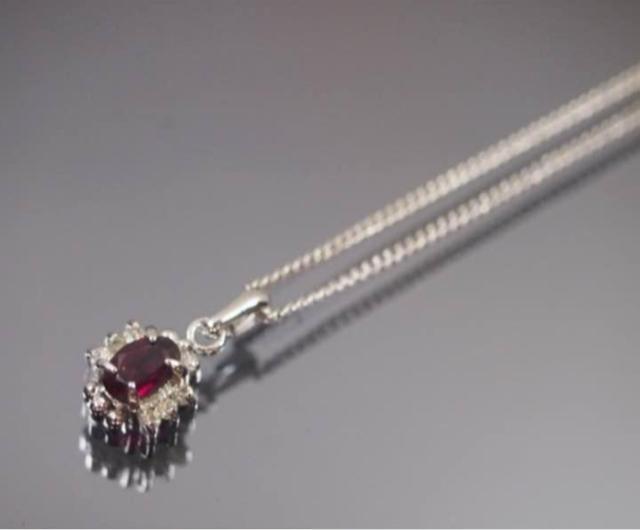 {@VR΁@K[lbg lbNX iǗԍN-P51  ANZT[/v 