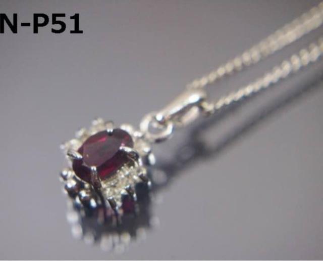 {@VR΁@K[lbg lbNX iǗԍN-P51  ANZT[/v 