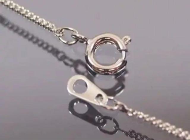 {@VR΁@K[lbg lbNX iǗԍN-P51  ANZT[/v 