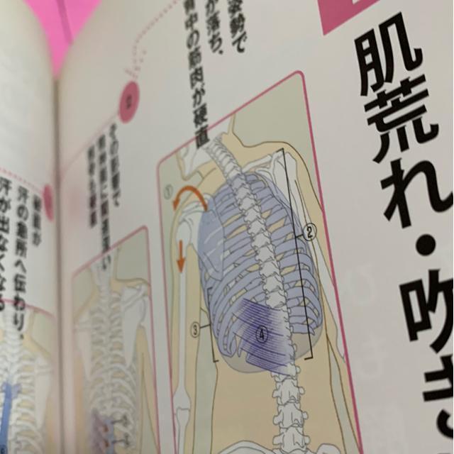 古本「弱った体がよみがえる人体力学」 < 本/雑誌  古本「弱った体がよみがえる人体力学」 < 本/雑誌の
