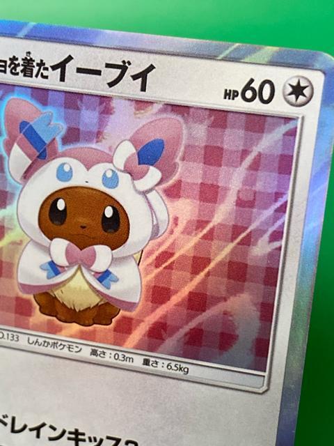 �y�󏭁E�v�����z�|���`���𒅂��C�[�u�C �j���t�B�A 144/SM-P �� �g���[�f�B���O�J�[�h�� 