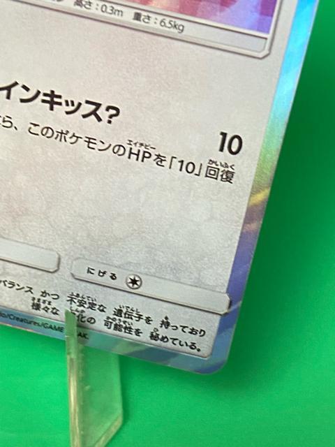 �y�󏭁E�v�����z�|���`���𒅂��C�[�u�C �j���t�B�A 144/SM-P �� �g���[�f�B���O�J�[�h�� 