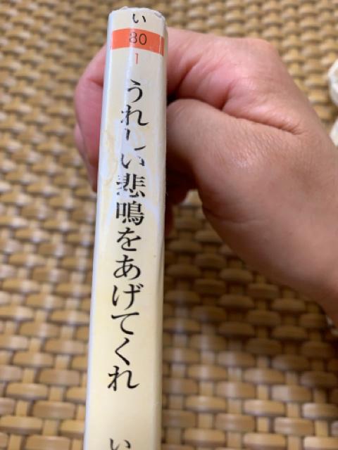 うれしい悲鳴をあげてくれ いしわたり淳治 ちくま文庫 小説 < 本/雑誌  うれしい悲鳴をあげてくれ いしわたり淳治 ちくま文庫 小説 < 本/雑誌の