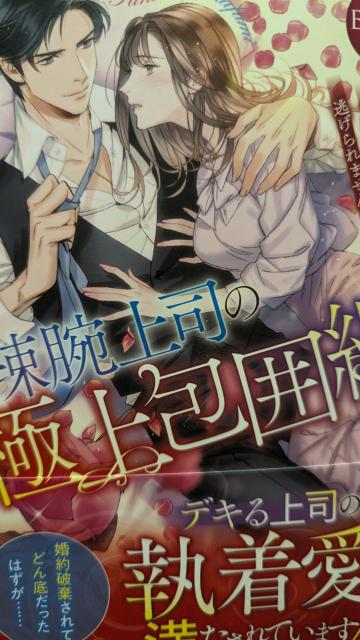 煘ri̋ɏ͖ԁ痈G^jeBubNX   {/G 