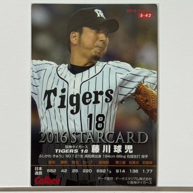 v싅`bvX TCJ[h 2016 싅  W[/X|[c 