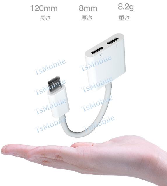 USB type-C CzƏ[dRlN^[ Cz ϊA_v^  Ɠd/AV 