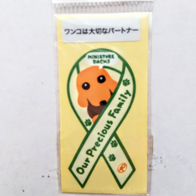 {XebJ[ERV[Y@~j`A_bNX@PO@@@ @傫{ɂTOO~ʂƎʂ܂  CeA/Ct 