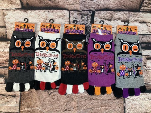 ʌw摜̃tNERgxfB[XȍT{wXj[J[p[eB\bNX  t@bV 