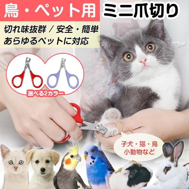 鳥用爪切り 小型 ミニ 爪切り はさみ ペット 猫 鳥 インコ 文鳥 小動物 安全 カーブ刃 ステンレス 簡単 コンパクト 軽量 < インテリア/ライフ 鳥用爪切り 小型 ミニ 爪切り はさみ ペット 猫 鳥 インコ 文鳥 小動物 安全 カーブ刃 ステンレス 簡単 コンパクト 軽量 < インテリア/ライフの