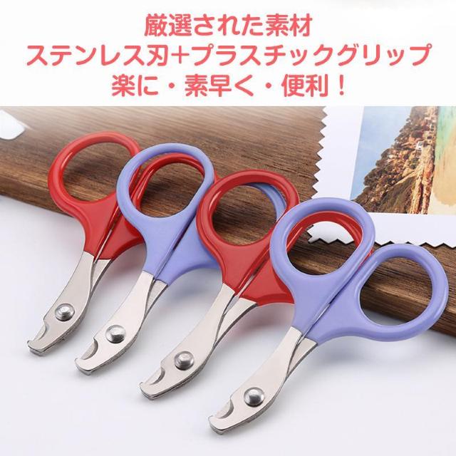 鳥用爪切り 小型 ミニ 爪切り はさみ ペット 猫 鳥 インコ 文鳥 小動物 安全 カーブ刃 ステンレス 簡単 コンパクト 軽量 < インテリア/ライフ 鳥用爪切り 小型 ミニ 爪切り はさみ ペット 猫 鳥 インコ 文鳥 小動物 安全 カーブ刃 ステンレス 簡単 コンパクト 軽量 < インテリア/ライフの
