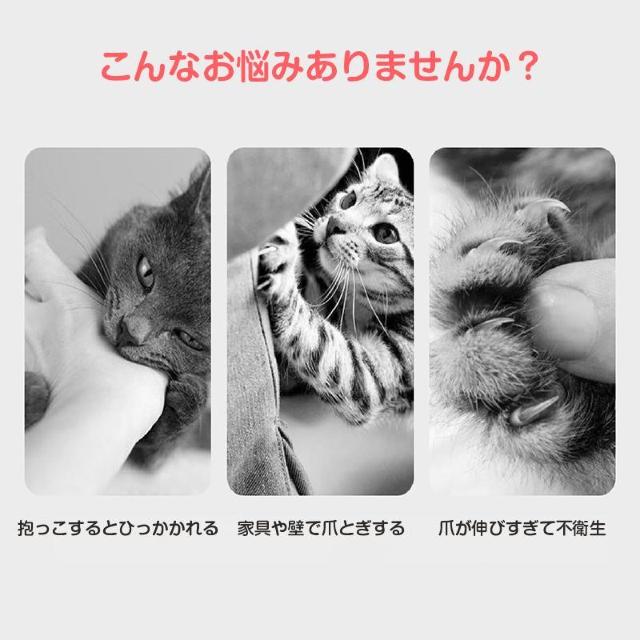 鳥用爪切り 小型 ミニ 爪切り はさみ ペット 猫 鳥 インコ 文鳥 小動物 安全 カーブ刃 ステンレス 簡単 コンパクト 軽量 < インテリア/ライフ 鳥用爪切り 小型 ミニ 爪切り はさみ ペット 猫 鳥 インコ 文鳥 小動物 安全 カーブ刃 ステンレス 簡単 コンパクト 軽量 < インテリア/ライフの