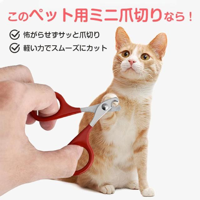 鳥用爪切り 小型 ミニ 爪切り はさみ ペット 猫 鳥 インコ 文鳥 小動物 安全 カーブ刃 ステンレス 簡単 コンパクト 軽量 < インテリア/ライフ 鳥用爪切り 小型 ミニ 爪切り はさみ ペット 猫 鳥 インコ 文鳥 小動物 安全 カーブ刃 ステンレス 簡単 コンパクト 軽量 < インテリア/ライフの