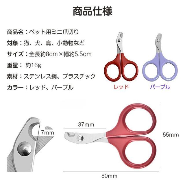 鳥用爪切り 小型 ミニ 爪切り はさみ ペット 猫 鳥 インコ 文鳥 小動物 安全 カーブ刃 ステンレス 簡単 コンパクト 軽量 < インテリア/ライフ 鳥用爪切り 小型 ミニ 爪切り はさみ ペット 猫 鳥 インコ 文鳥 小動物 安全 カーブ刃 ステンレス 簡単 コンパクト 軽量 < インテリア/ライフの