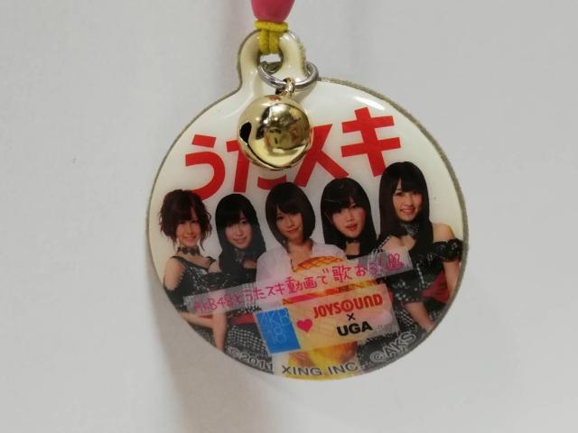 うたスキ クリーナー ストラップ < 家電/AV うたスキ クリーナー ストラップ < 家電/AVの