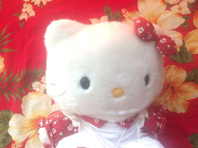 新品未使用☆キティちゃん☆花柄洋服ぬいぐるみ☆ < おもちゃ  新品未使用☆キティちゃん☆花柄洋服ぬいぐるみ☆ < おもちゃの