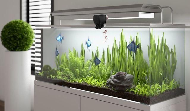 魚自動給餌器 タイムフィーダー < ペット/手芸/園芸  魚自動給餌器 タイムフィーダー < ペット/手芸/園芸の