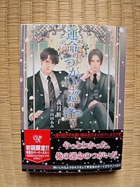 運命のつがいは巡り逢う 義月粧子/小山田あみ < 本/雑誌 運命のつがいは巡り逢う 義月粧子/小山田あみ < 本/雑誌の