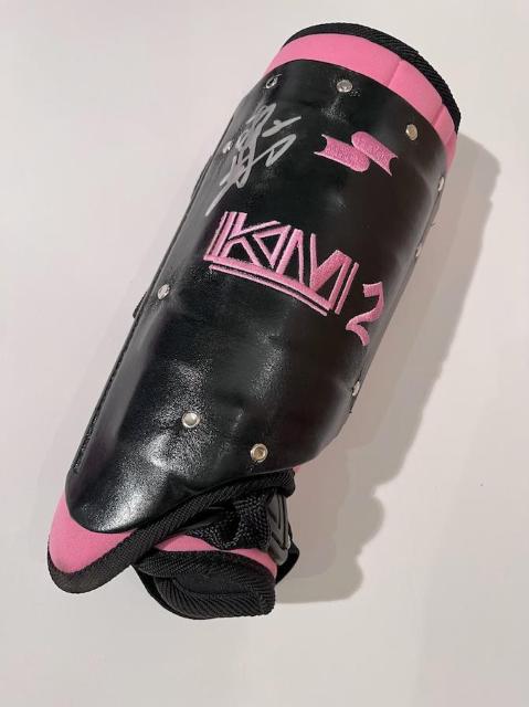 ytbe}[Yz ՐI MTCtbgK[h