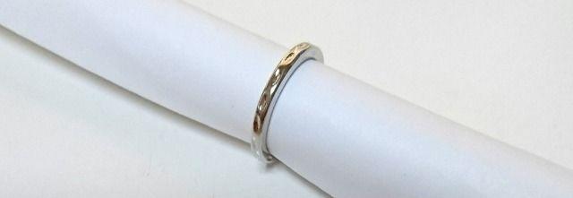 �����O�� �� �����A�N�Z�T���[/���v�� 