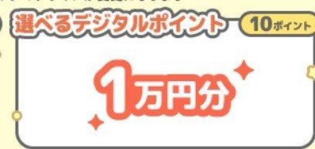 ׂfW^|Cg10000~/L[z_[g[gobO/1   `Pbg/ 