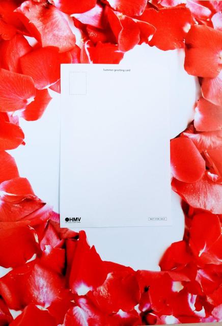 新品 竜とそばかすの姫 ポストカード 非売品 ノベルティ 葉書 < ホビー  新品 竜とそばかすの姫 ポストカード 非売品 ノベルティ 葉書 < ホビーの