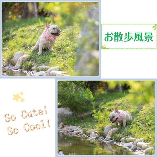 ペット 犬 猫 クールネック 保冷剤付き 夏 ひんやり 冷感 ネッククーラー バンダナ 暑い 熱中症 夏バテ 対策 冷却 首 冷や < ペット/手芸/園芸 ペット 犬 猫 クールネック 保冷剤付き 夏 ひんやり 冷感 ネッククーラー バンダナ 暑い 熱中症 夏バテ 対策 冷却 首 冷や < ペット/手芸/園芸の