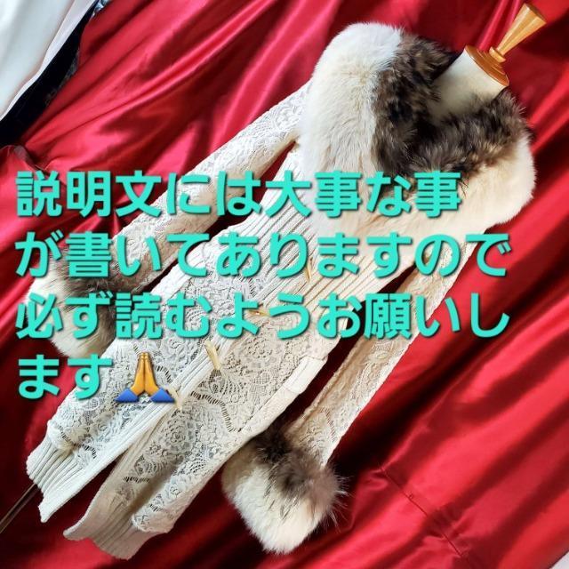 ݁508LAM CI/V[єtIOJ[fBK/R[gS  t@bV 