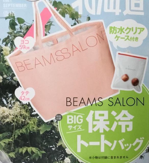 [NVBGt^BEAMS SALONۗ@\tBIGg[g&hXC_[P[XSET 