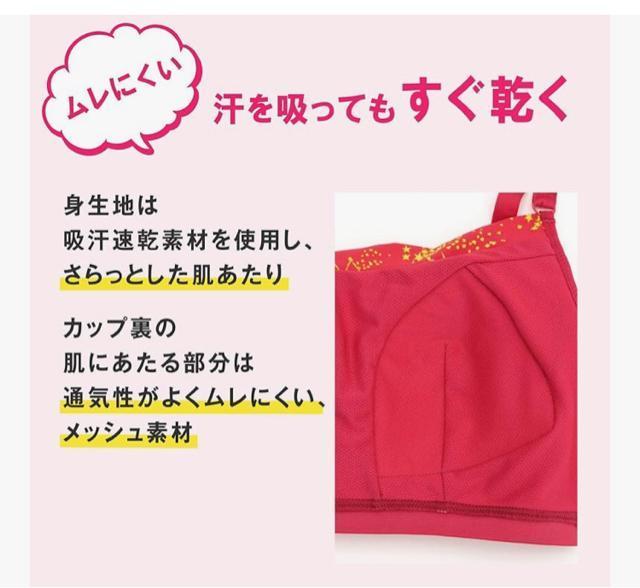 �V�i�^�O�t�yL�z�ԃs���N�@���V�A�������u���@�W���j�A�u���@�X�|�[�c�u���@���K�u���@ LECIEN �m�����C���[ �u���W���[����u�� �� ���W���[/�X�|�[�c�� 