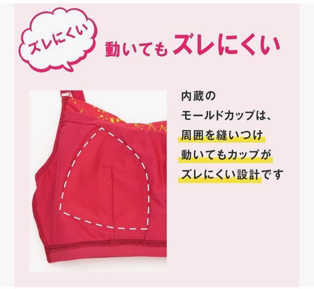 �V�i�^�O�t�yL�z�ԃs���N�@���V�A�������u���@�W���j�A�u���@�X�|�[�c�u���@���K�u���@ LECIEN �m�����C���[ �u���W���[����u�� �� ���W���[/�X�|�[�c�� 