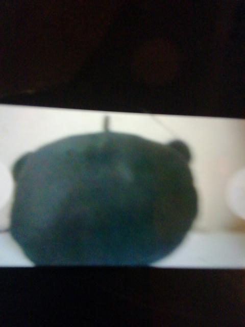 クまモんにッこリ顔ゆタんポ&カばーせっと < ホビー  クまモんにッこリ顔ゆタんポ&カばーせっと < ホビーの