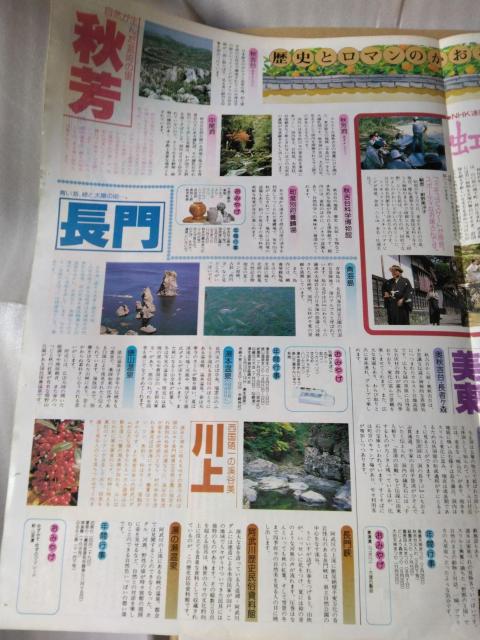 �R���� �Ȃ��ƘH���s���y����D����W���z �� �^�����g�O�b�Y�� 