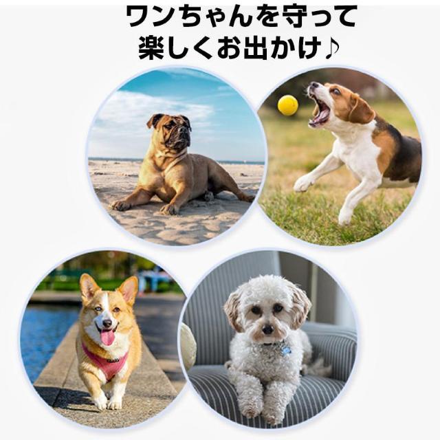 ドッグ 靴下 肉球 保護 シール 48枚入 犬靴 犬 滑り止め 肉球パッド ペット 足裏 怪我防止 シリコン 防水 フローリング < インテリア/ライフ  ドッグ 靴下 肉球 保護 シール 48枚入 犬靴 犬 滑り止め 肉球パッド ペット 足裏 怪我防止 シリコン 防水 フローリング < インテリア/ライフの