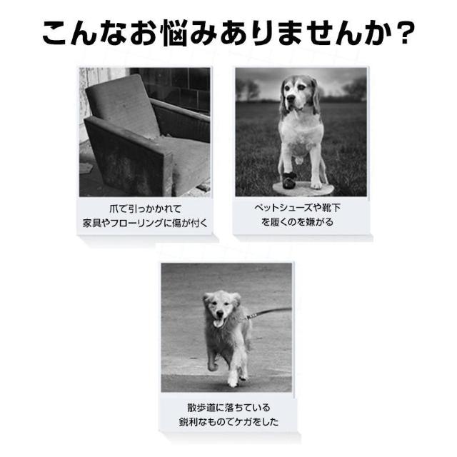 ドッグ 靴下 肉球 保護 シール 48枚入 犬靴 犬 滑り止め 肉球パッド ペット 足裏 怪我防止 シリコン 防水 フローリング < インテリア/ライフ  ドッグ 靴下 肉球 保護 シール 48枚入 犬靴 犬 滑り止め 肉球パッド ペット 足裏 怪我防止 シリコン 防水 フローリング < インテリア/ライフの